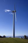 Wind power growth potential