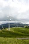 Global wind power expected to grow