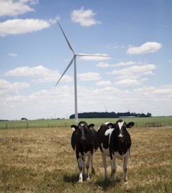 North American Clean Energy Nestl Leverages Wind Power In