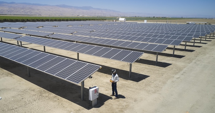 solar guy in field