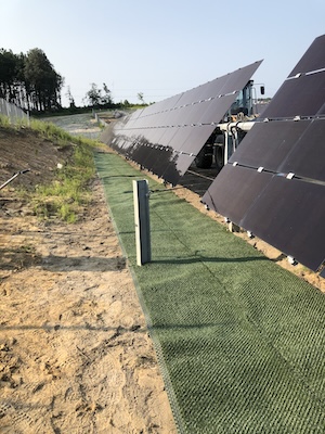 vertical grass and solar