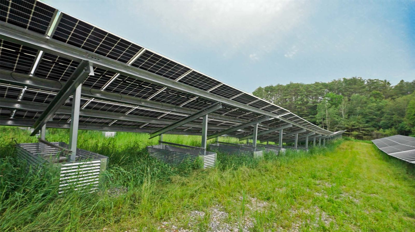 solar back panels plus wildflowers