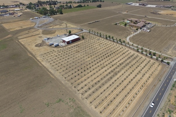 brown solar field