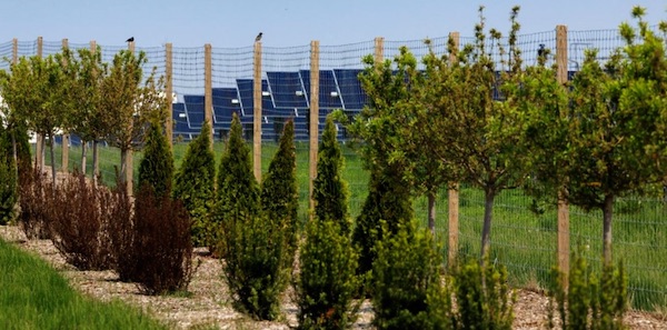 trees solar panels