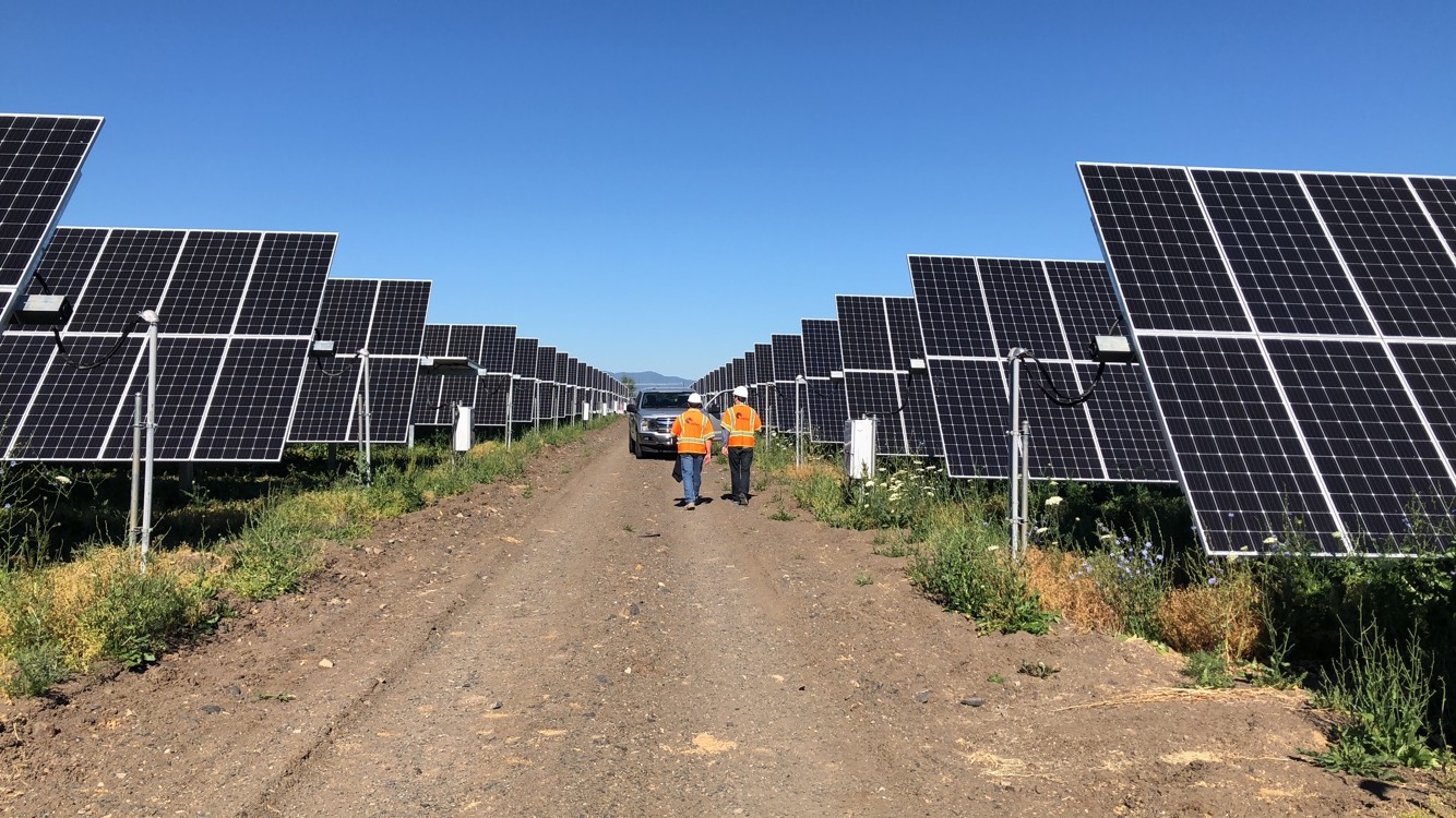 wide shot men walking between solar panels 