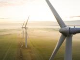 Environmental intelligence and insights to optimize wind farm operations 