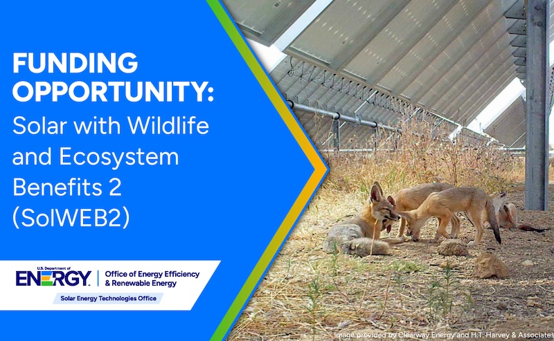 Funding Notice: Solar with Wildlife and Ecosystem Benefits 2 (SolWEB2)