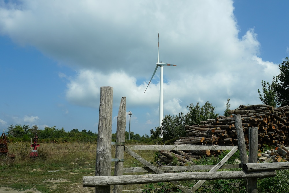 The Economic and Environmental Cost of Wind Energy 