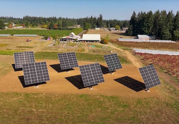 Elevated Solar Trackers Offer New Cash Crop for American Farmers and Ranchers